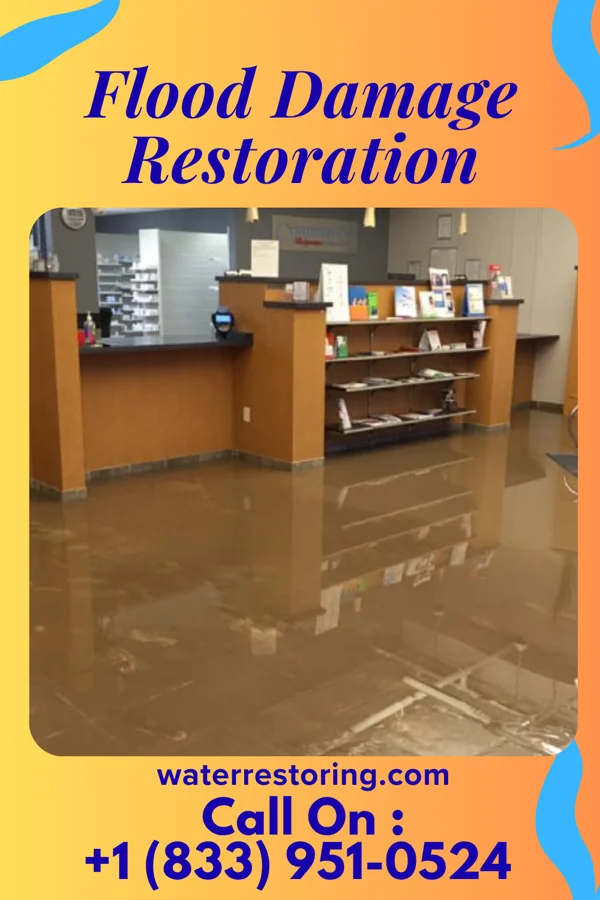 Flood Damage Restoration in Lake Viking, MO