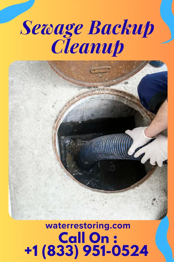 Sewage Backup Cleanup in Lake Viking, MO
